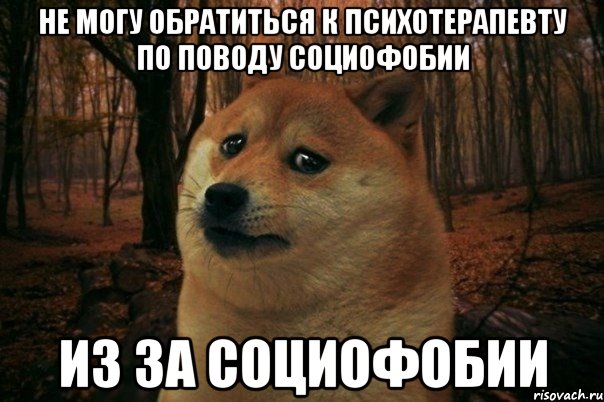 не могу обратиться к психотерапевту по поводу социофобии из за социофобии, Мем SAD DOGE