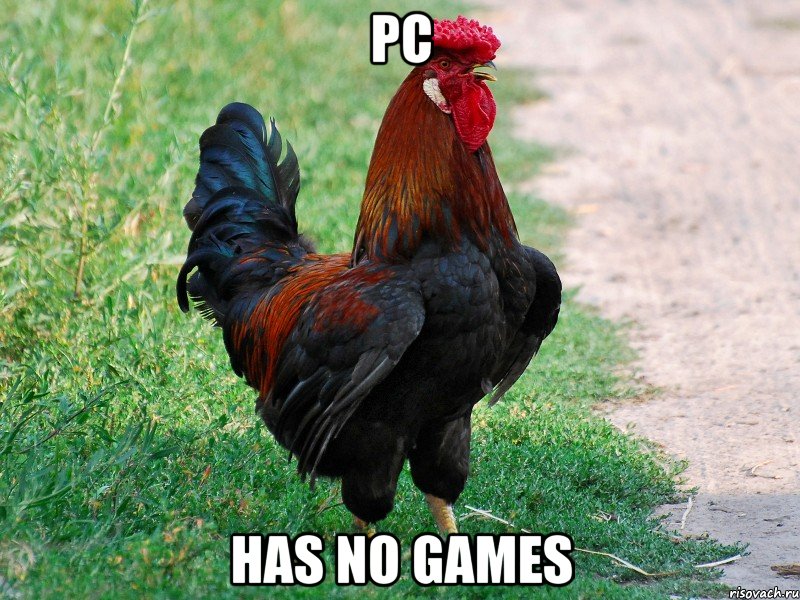 pc has no games