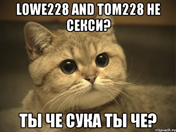 Lowe228 and Tom228 не секси? Ты че сука ты че?, Мем Пидрила ебаная котик