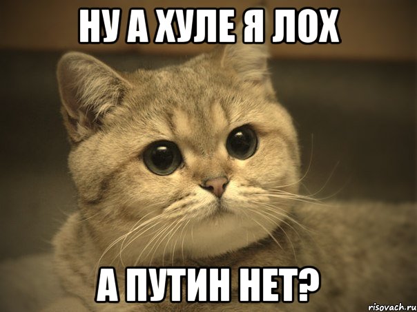 НУ А ХУЛЕ Я ЛОХ А ПУТИН НЕТ?