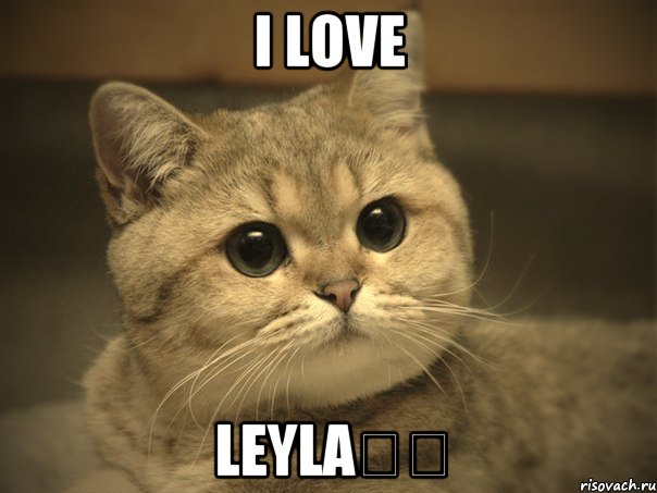 I love Leyla❤️, Мем Пидрила ебаная котик