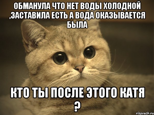 обманула что нет воды холодной ,заставила есть а вода оказывается была кто ты после этого катя ?, Мем Пидрила ебаная котик