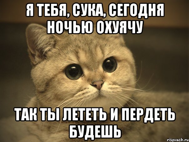 Я тебя, сука, сегодня ночью охуячу Так ты лететь и пердеть будешь