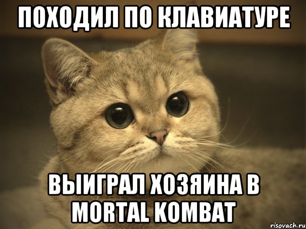 походил по клавиатуре выиграл хозяина в Mortal Kombat