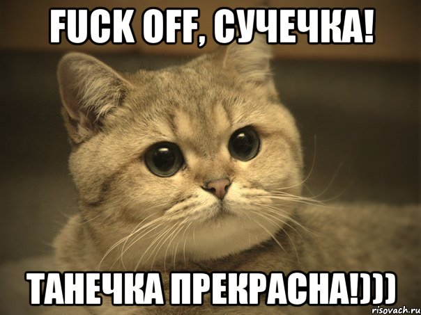 FUCK OFF, сучечка! Танечка прекрасна!)))