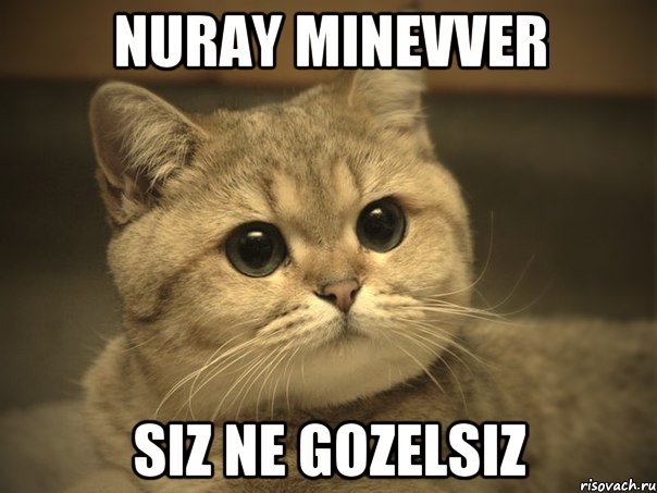 nuray minevver siz ne gozelsiz