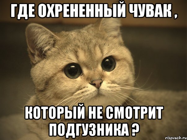 Где охрененный чувак , который не смотрит подгузника ?