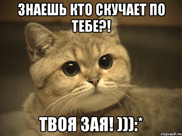 Знаешь кто скучает по тебе?! Твоя Зая! ))):*