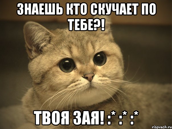 Знаешь кто скучает по тебе?! Твоя Зая! :* :* :*