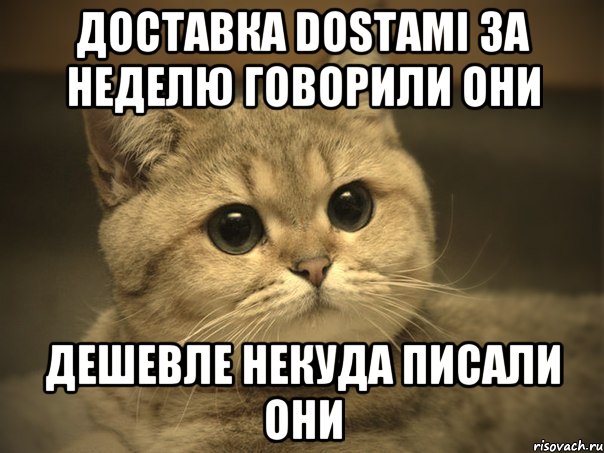 Доставка Dostami за неделю говорили они Дешевле некуда писали они, Мем Пидрила ебаная котик