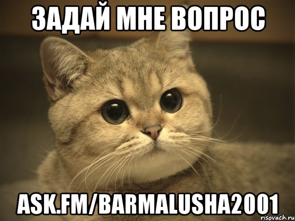 Задай Мне Вопрос ask.fm/barmalusha2001