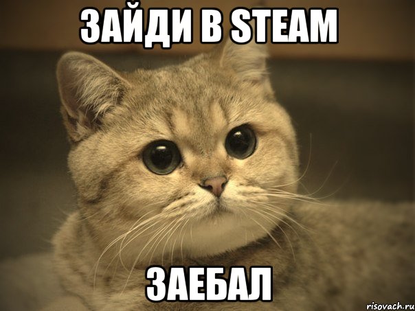 Зайди в STEAM ЗАЕБАЛ