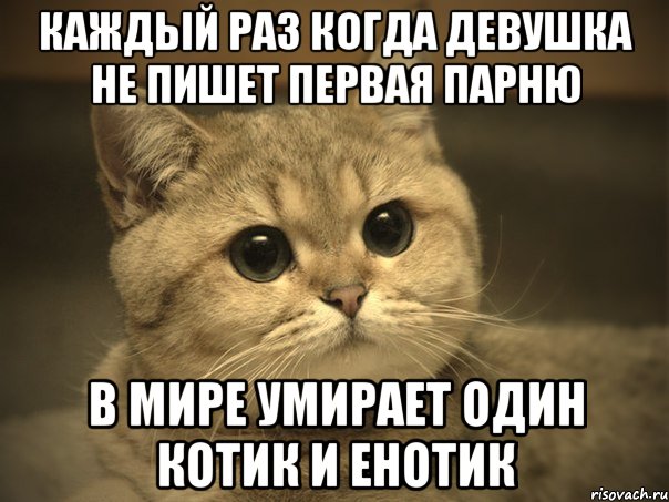 каждый раз когда девушка не пишет первая парню в мире умирает один котик и енотик