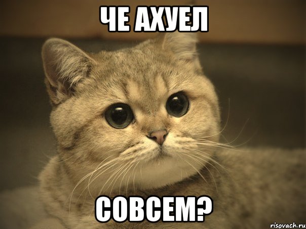 Че ахуел Совсем?