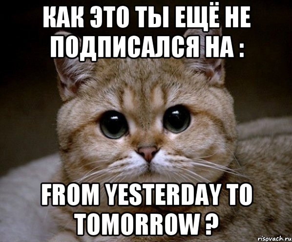 Как это ты ещё не подписался на : From yesterday to tomorrow ?, Мем Пидрила Ебаная