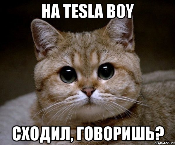 НА TESLA BOY Сходил, говоришь?, Мем Пидрила Ебаная