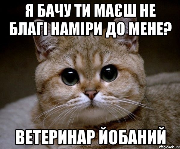 я бачу ти маєш не благі наміри до мене? ветеринар йобаний, Мем Пидрила Ебаная