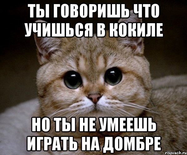 Ты говоришь что учишься в кокиле Но ты не умеешь играть на домбре, Мем Пидрила Ебаная