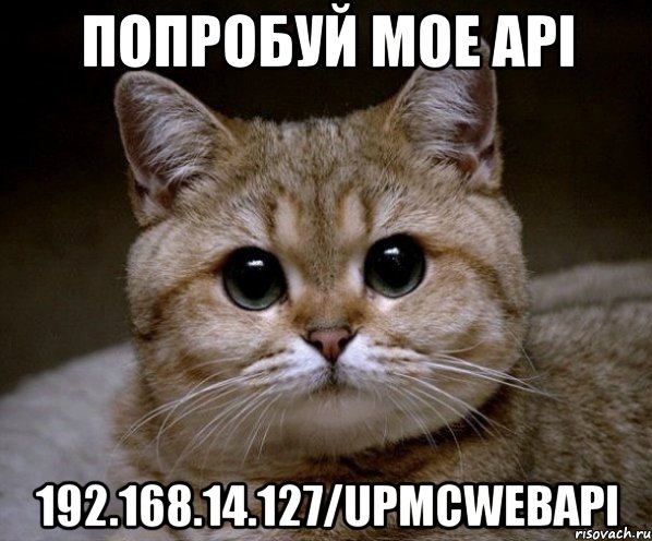 попробуй мое API 192.168.14.127/UPMCWebAPI, Мем Пидрила Ебаная