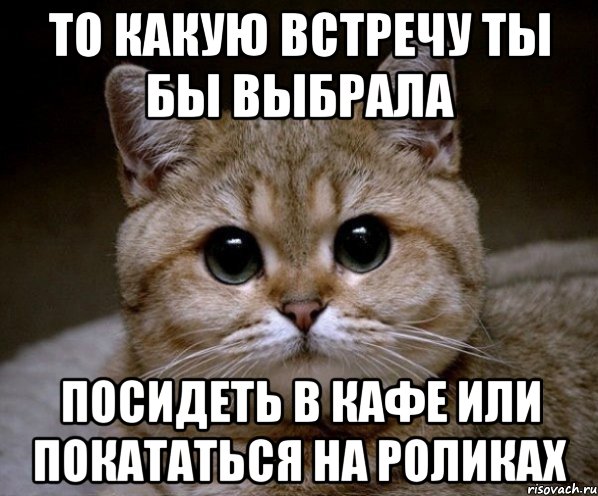 ТО КАКУЮ ВСТРЕЧУ ТЫ БЫ ВЫБРАЛА Посидеть в кафе или покататься на роликах, Мем Пидрила Ебаная