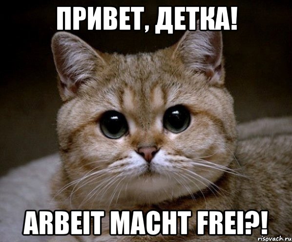 Привет, детка! Arbeit macht frei?!, Мем Пидрила Ебаная