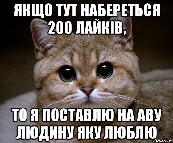 Якщо тут набереться 200 лайків, то я поставлю на аву людину яку люблю, Мем Пидрила Ебаная