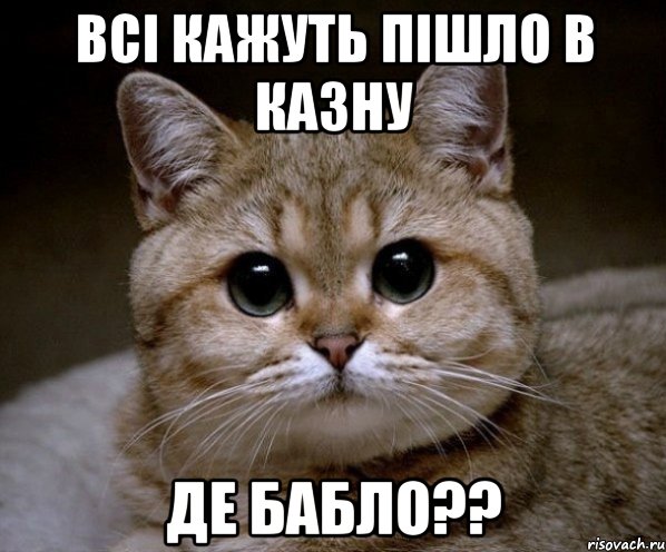 всі кажуть пішло в казну де бабло??, Мем Пидрила Ебаная