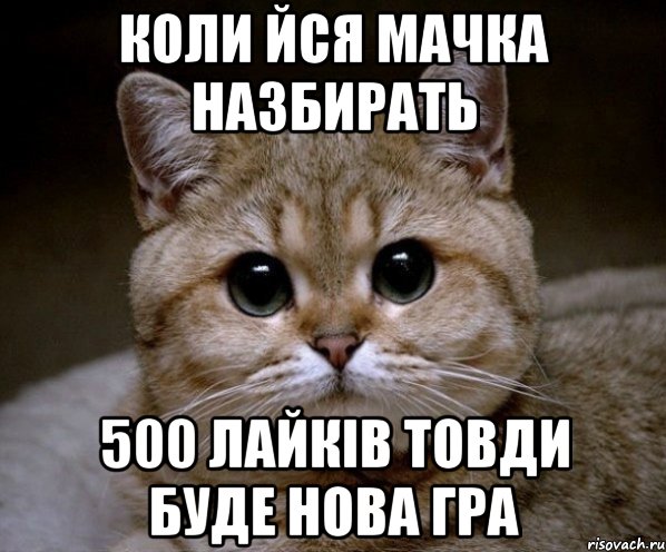 КОЛИ ЙСЯ МАЧКА НАЗБИРАТЬ 500 ЛАЙКІВ ТОВДИ БУДЕ НОВА ГРА, Мем Пидрила Ебаная