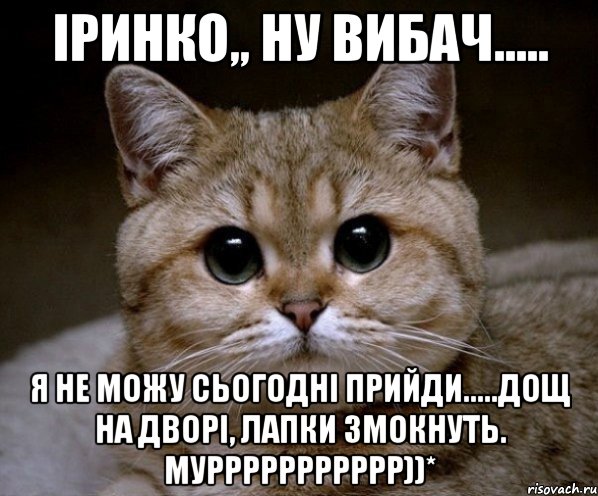 Іринко,, ну вибач..... я не можу сьогодні прийди.....дощ на дворі, лапки змокнуть. Муррррррррррр))*, Мем Пидрила Ебаная