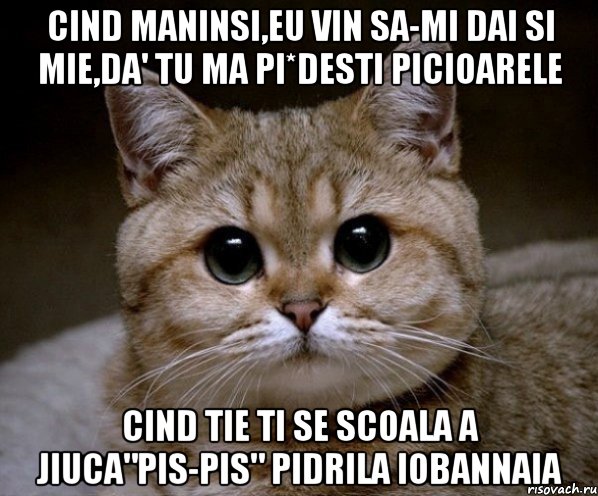 cind maninsi,eu vin sa-mi dai si mie,da' tu ma pi*desti picioarele cind tie ti se scoala a jiuca"pis-pis" Pidrila iobannaia, Мем Пидрила Ебаная