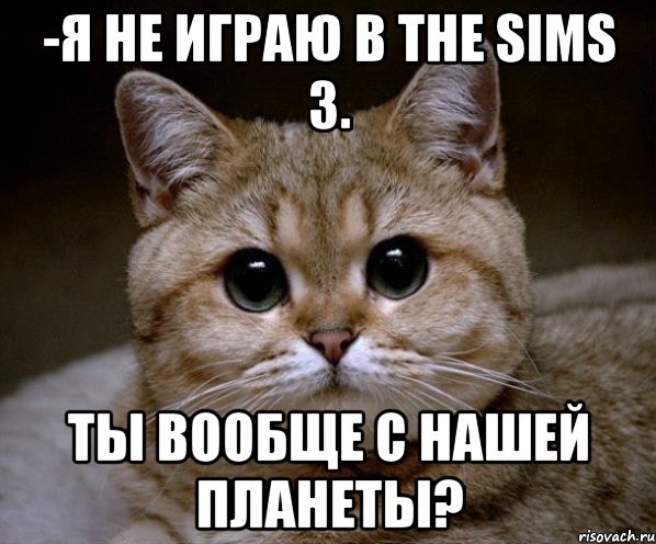 -Я не играю в the sims 3. Ты вообще с нашей планеты?, Мем Пидрила Ебаная