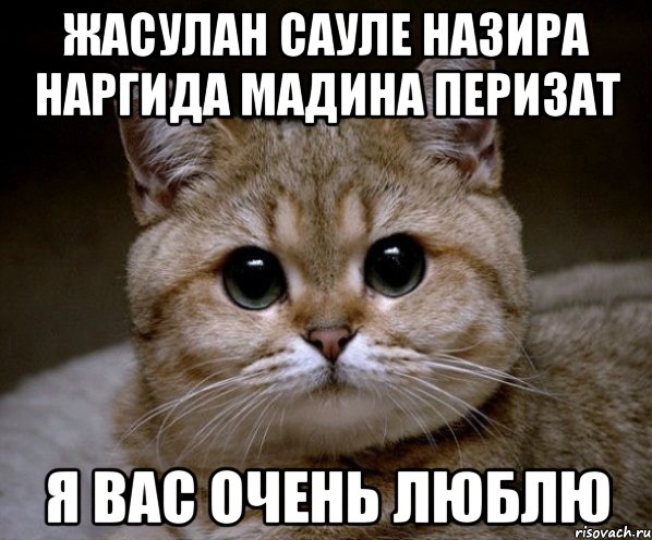 Жасулан Сауле Назира Наргида Мадина Перизат Я вас очень люблю, Мем Пидрила Ебаная