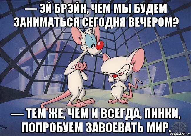 — Эй Брэйн, чем мы будем заниматься сегодня вечером? — Тем же, чем и всегда, Пинки, попробуем завоевать мир., Мем ПИНКИ И БРЕЙН