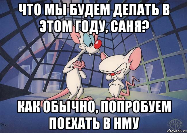 что мы будем делать в этом году, саня? как обычно, попробуем поехать в НМУ