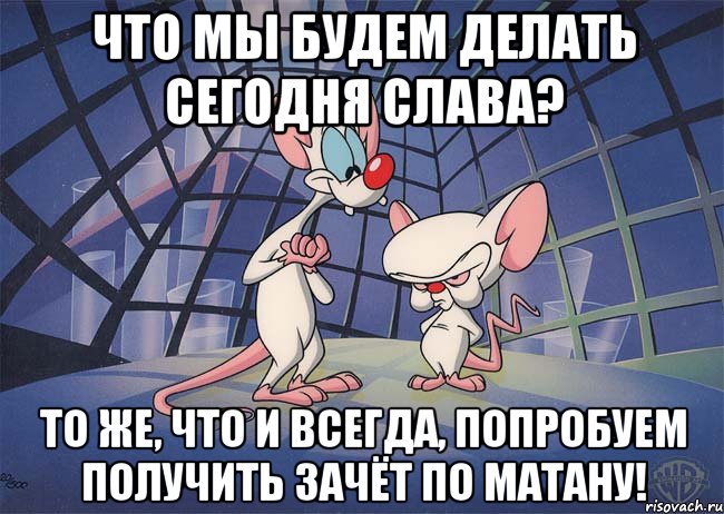 Что мы будем делать сегодня Слава? То же, что и всегда, попробуем получить зачёт по матану!, Мем ПИНКИ И БРЕЙН