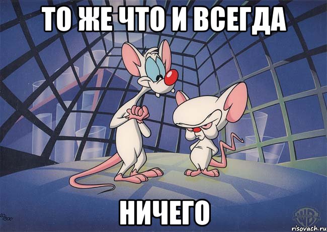 То же что и всегда Ничего, Мем ПИНКИ И БРЕЙН