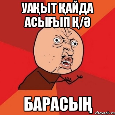 Уақыт қайда асығып Қ/Ә барасың, Мем Почему