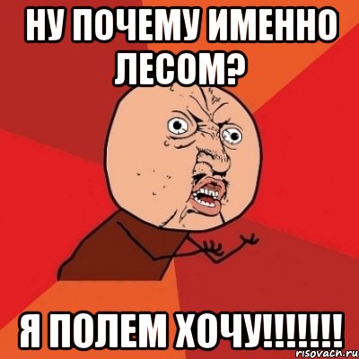 ну почему именно лесом? я полем хочу!!!!!!!, Мем Почему