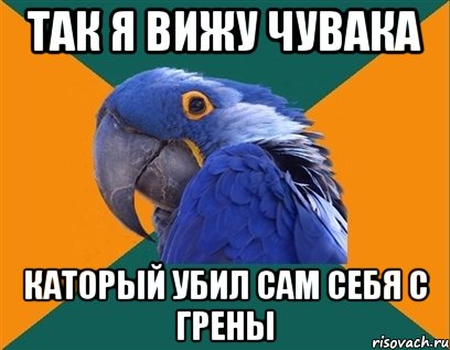 так я вижу чувака каторый убил сам себя с грены, Мем Попугай параноик