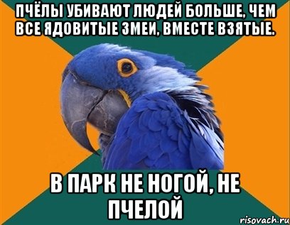 Пчёлы убивают людей больше, чем все ядовитые змеи, вместе взятые. В парк не ногой, не пчелой, Мем Попугай параноик