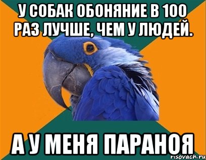 У собак обоняние в 100 раз лучше, чем у людей. а у меня параноя, Мем Попугай параноик