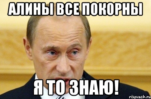 Алины все покорны я то знаю!, Мем путин