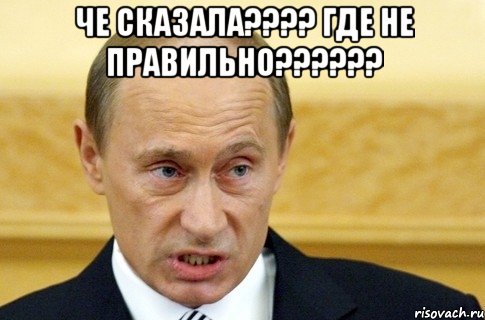 Че сказала???? Где не правильно?????? , Мем путин