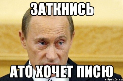 Заткнись АТО Хочет Писю, Мем путин