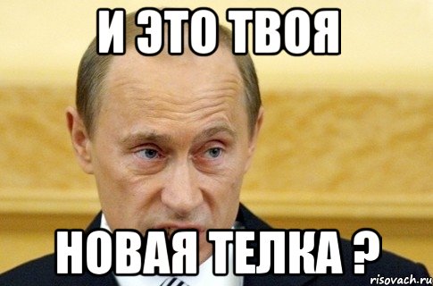 И это твоя Новая телка ?, Мем путин