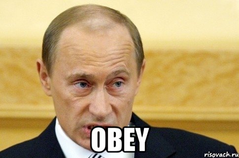  OBEY, Мем путин