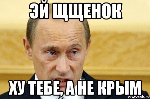 эй щщенок ху тебе, а не крым, Мем путин