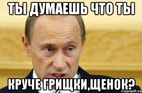 Ты думаешь что ты круче Грищки,щенок?, Мем путин