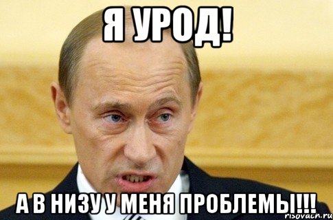 Я УРОД! А в НИЗУ У МЕНЯ ПРОБЛЕМЫ!!!, Мем путин