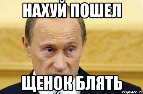 нахуй пошел щенок блять, Мем путин